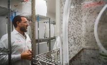 A man stands in a lab next to a metal rack holding a large enclosure filled with mosquitos.
