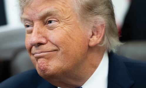 Donald Trump smirking.
